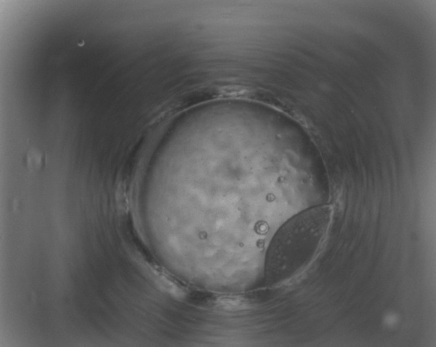 X0000083000666200702081902