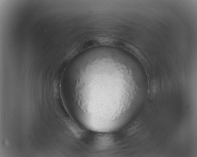 X0000083000667200702081902