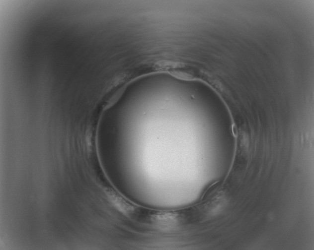 X0000083000668200702081902