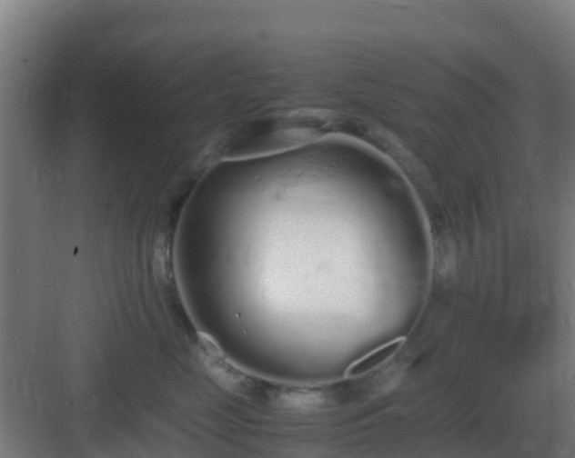 X0000083000669200702081902