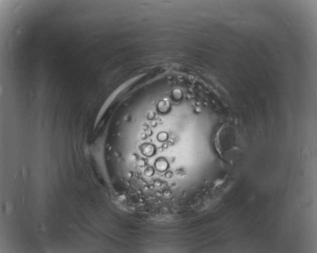 X0000083000671200702081902