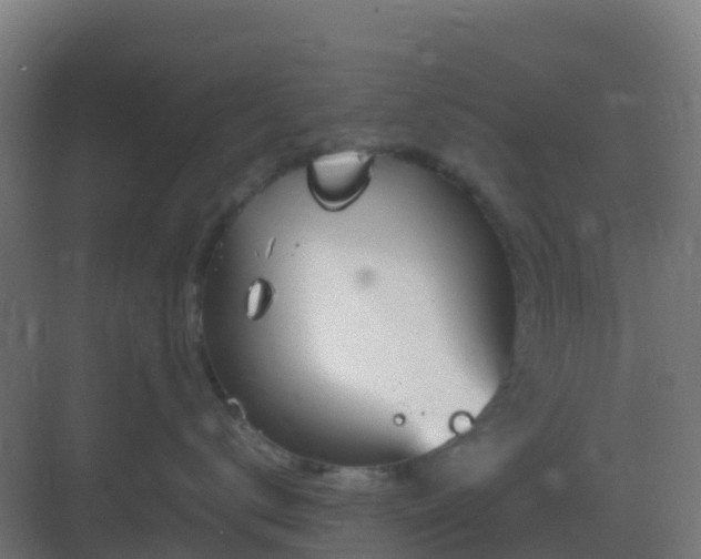 X0000083000672200702081902