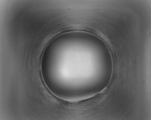 X0000083000673200702081901