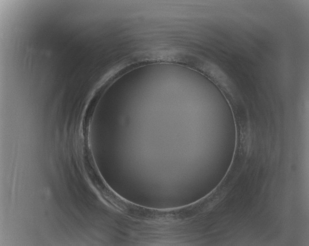 X0000083000674200702081901