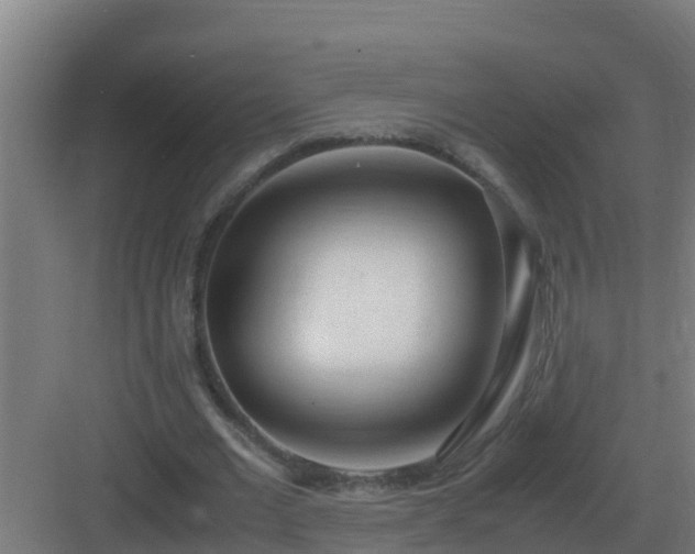 X0000083000677200702081901