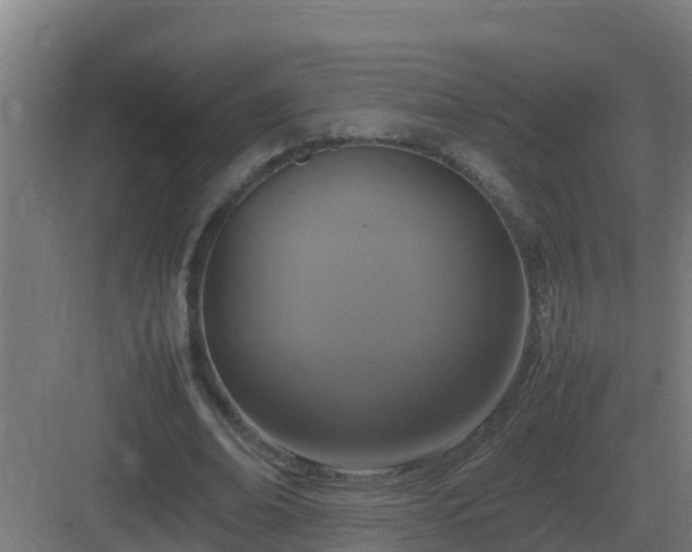 X0000083000678200702081901