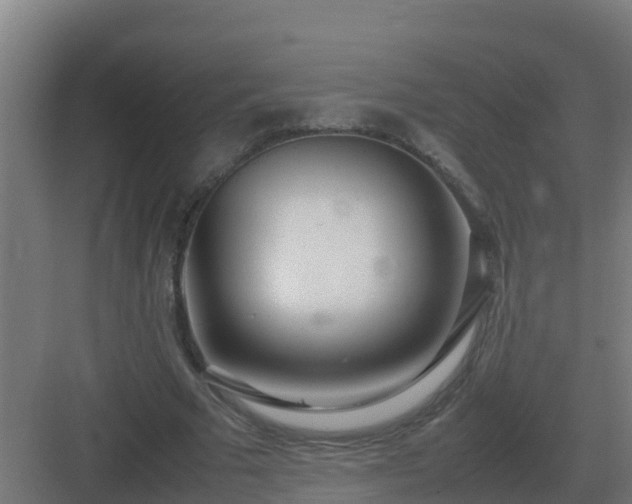 X0000083000681200702081901