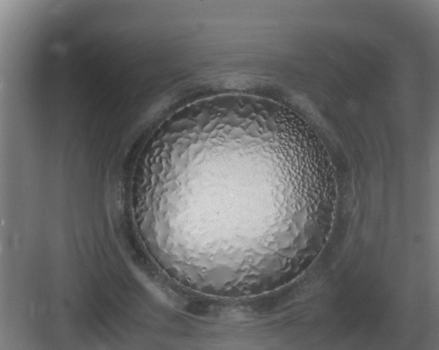 X0000083000683200702081901