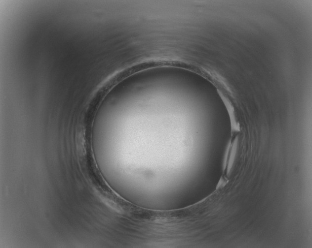 X0000083000684200702081901