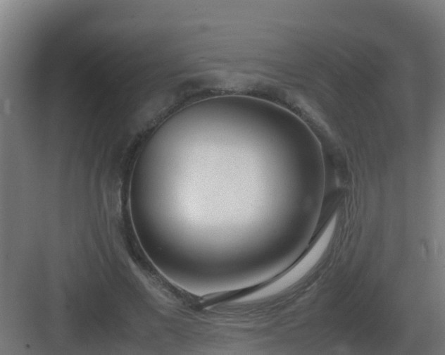 X0000083000685200702081901