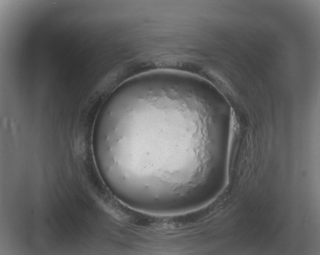 X0000083000687200702081901