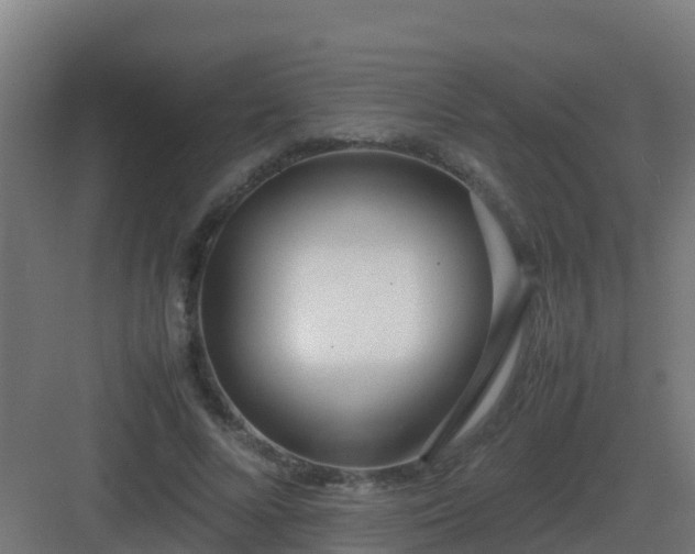 X0000083000688200702081901