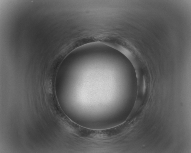 X0000083000689200702081901