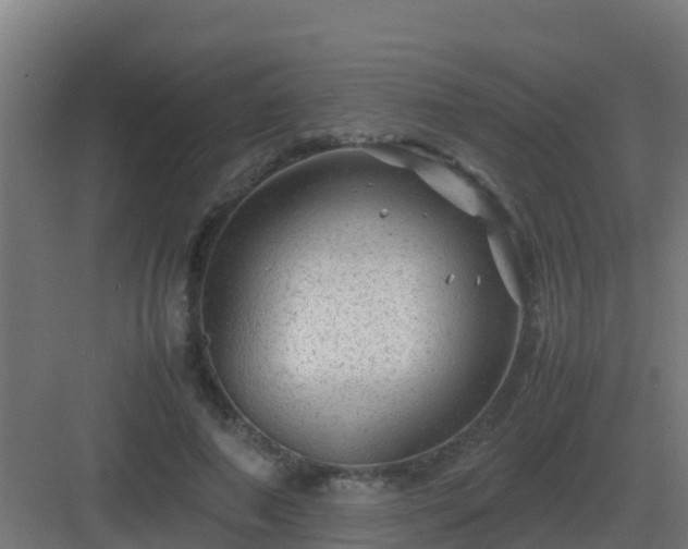 X0000083000690200702081901