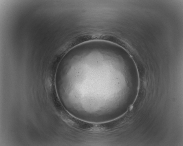 X0000083000691200702081901