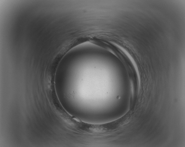 X0000083000693200702081901