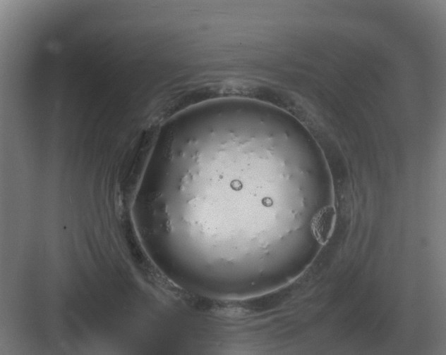 X0000083000695200702081901