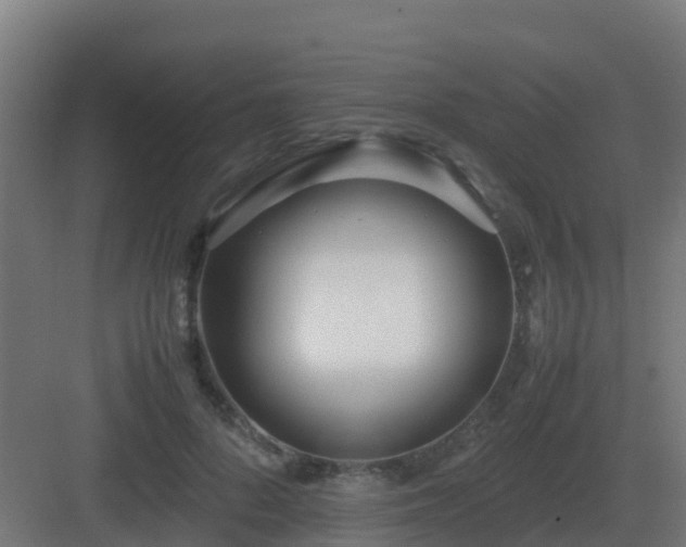 X0000083000696200702081901