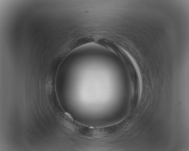 X0000083000697200702081901