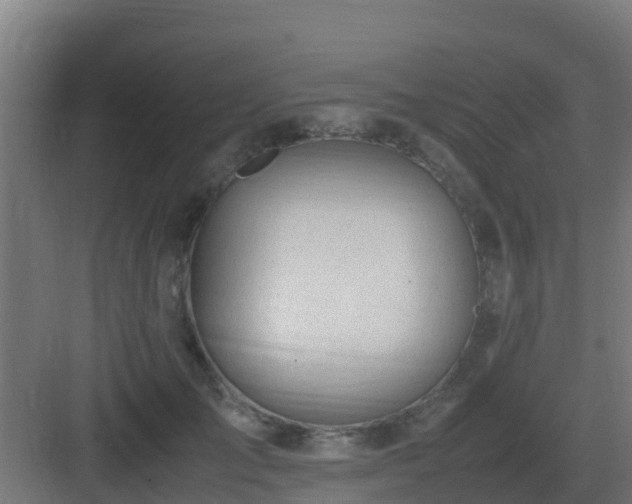 X0000083000701200702081900