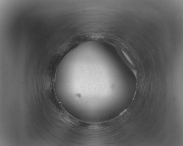 X0000083000704200702081900