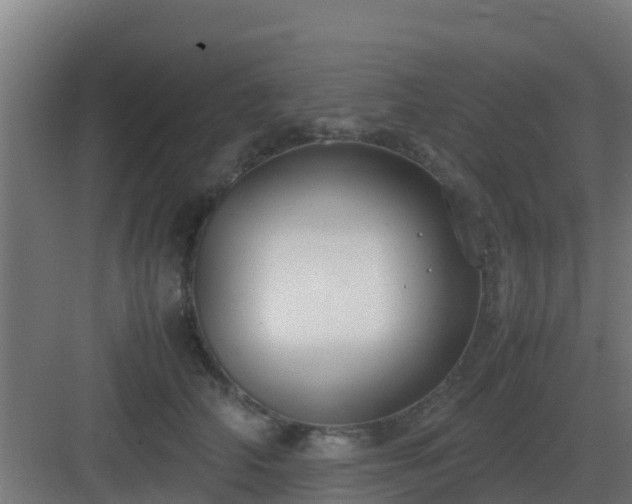 X0000083000706200702081900