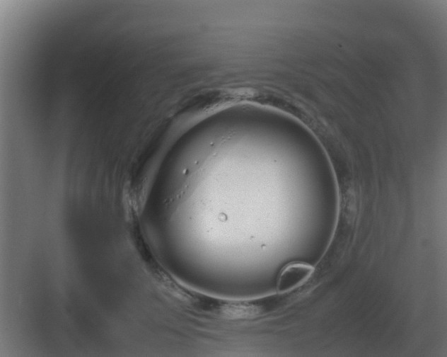 X0000083000707200702081900