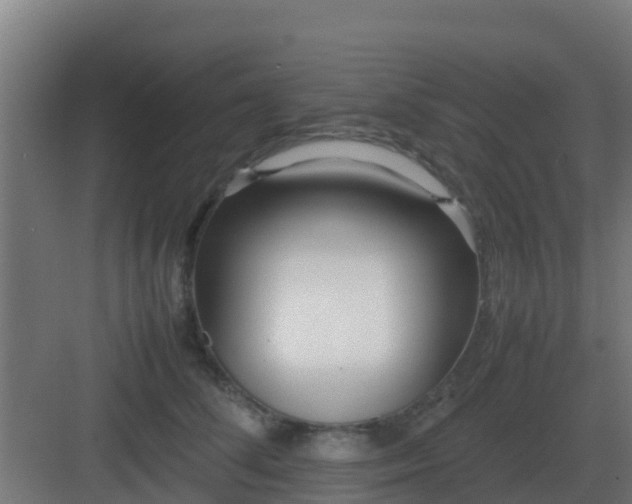 X0000083000708200702081900