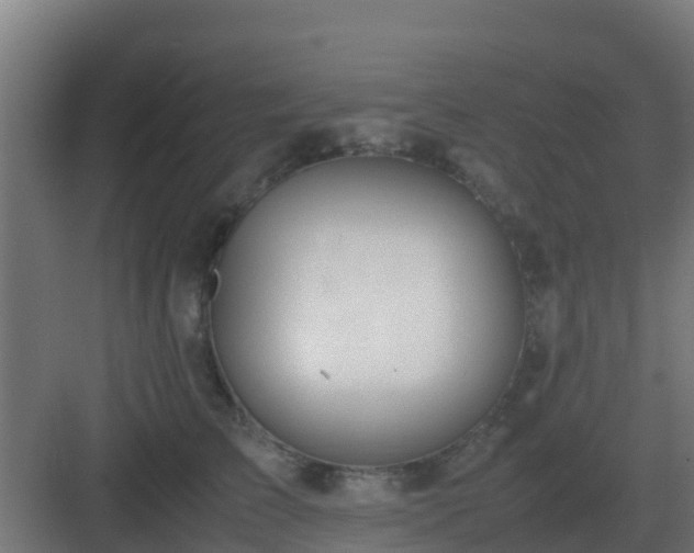 X0000083000709200702081900