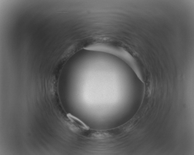 X0000083000712200702081900