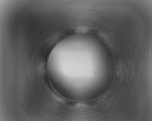 X0000083000714200702081900