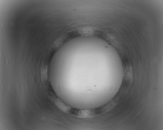 X0000083000717200702081900