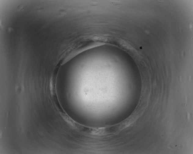 X0000083000720200702081900