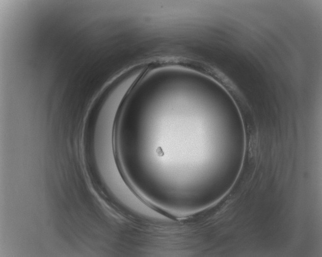 X0000083000722200702081859