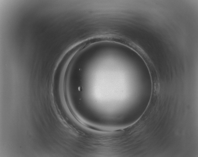 X0000083000724200702081859