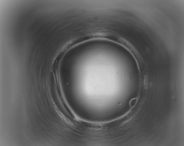 X0000083000725200702081859