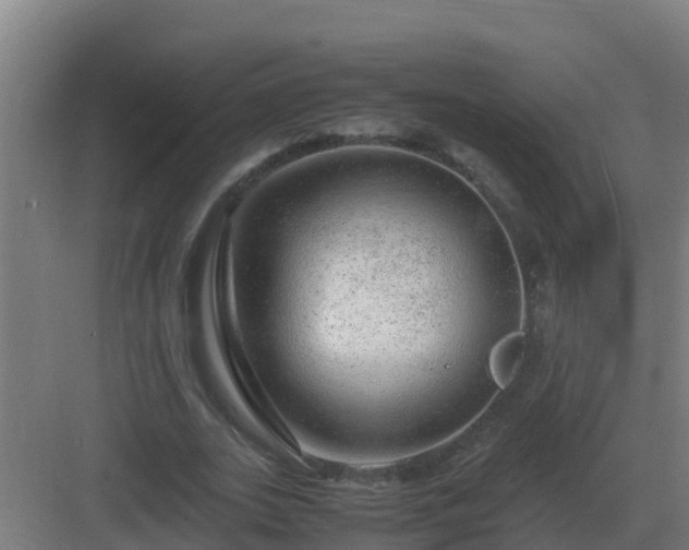 X0000083000727200702081859