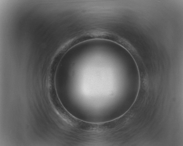 X0000083000732200702081900