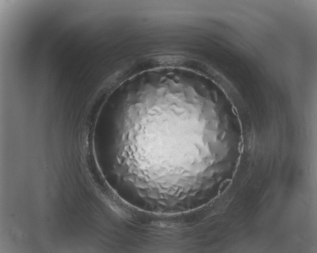 X0000083000733200702081900