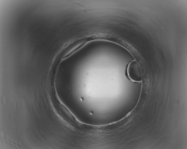 X0000083000734200702081900