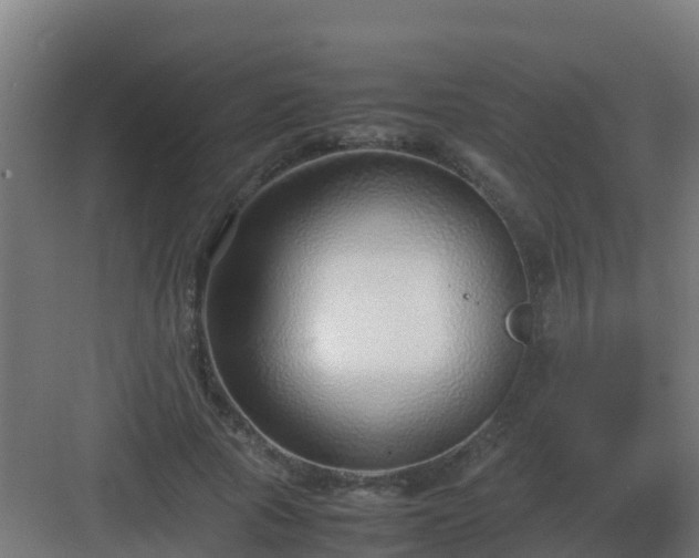 X0000083000737200702081900