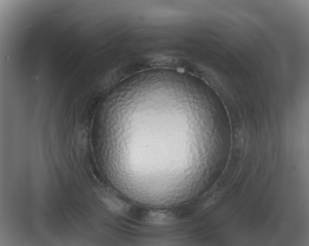 X0000083000753200702081900