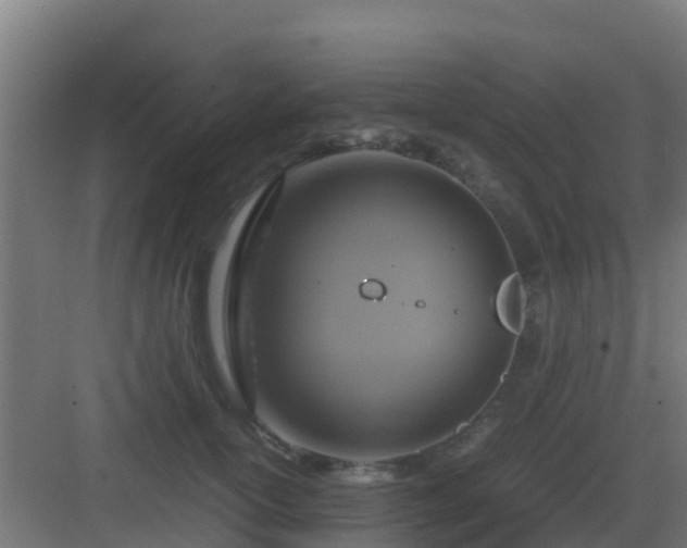 X0000083000754200702081900