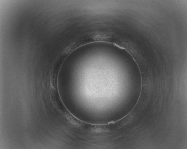 X0000083000755200702081900