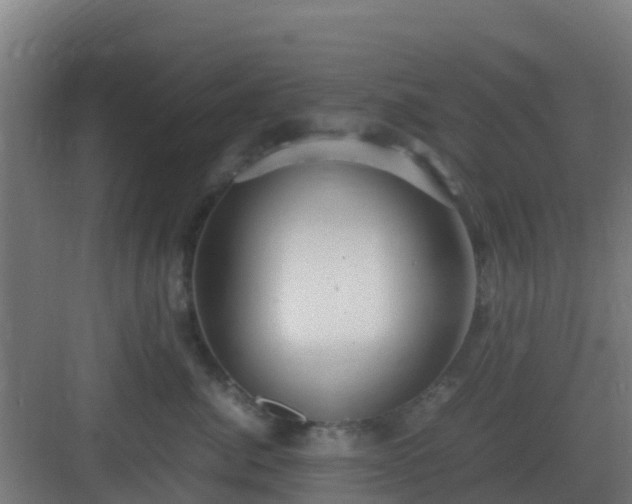 X0000083000764200702081900