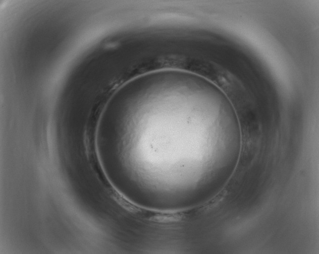 X0000083000765200702081900