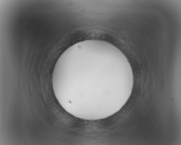 X0000083000769200702081859