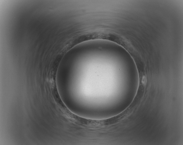 X0000083000771200702081859