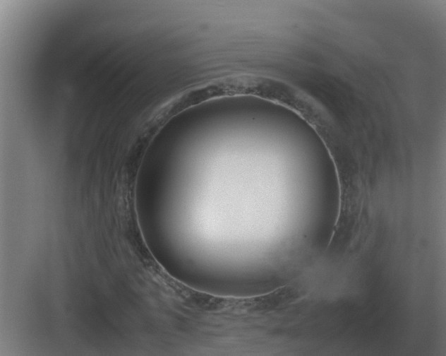 X0000083000773200702081859