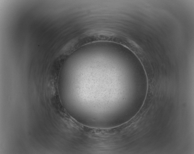 X0000083000774200702081859